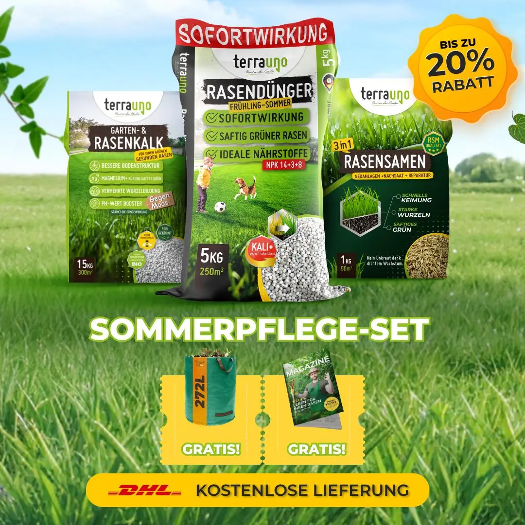 Frühlingsstarter-Set - Image 23