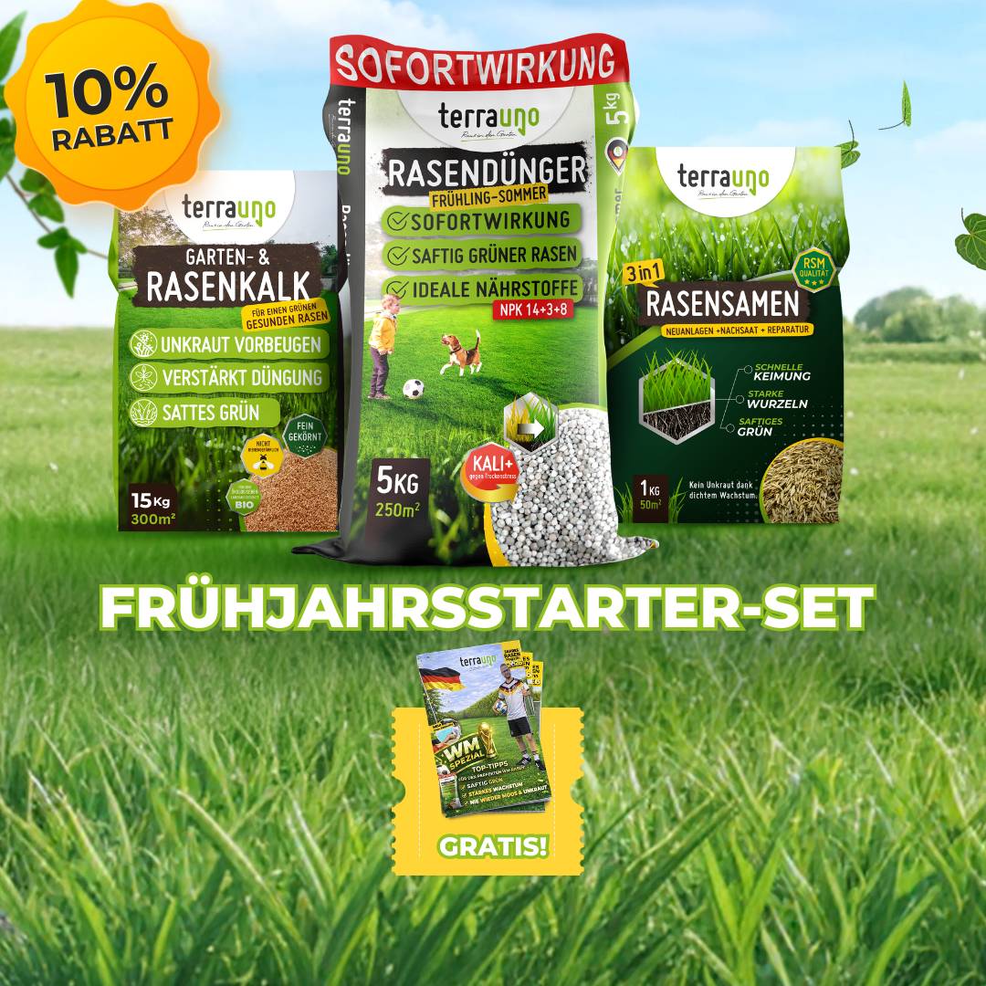 Frühlingsstarter-Set - Image 41