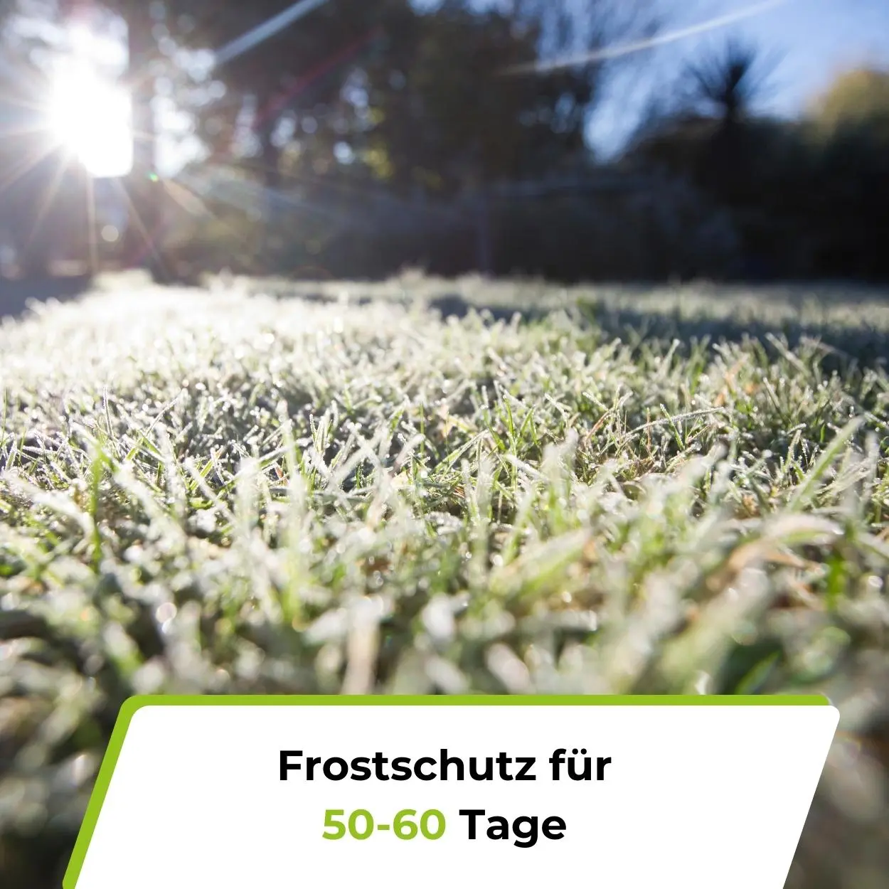 Rasendünger Herbst - Image 4
