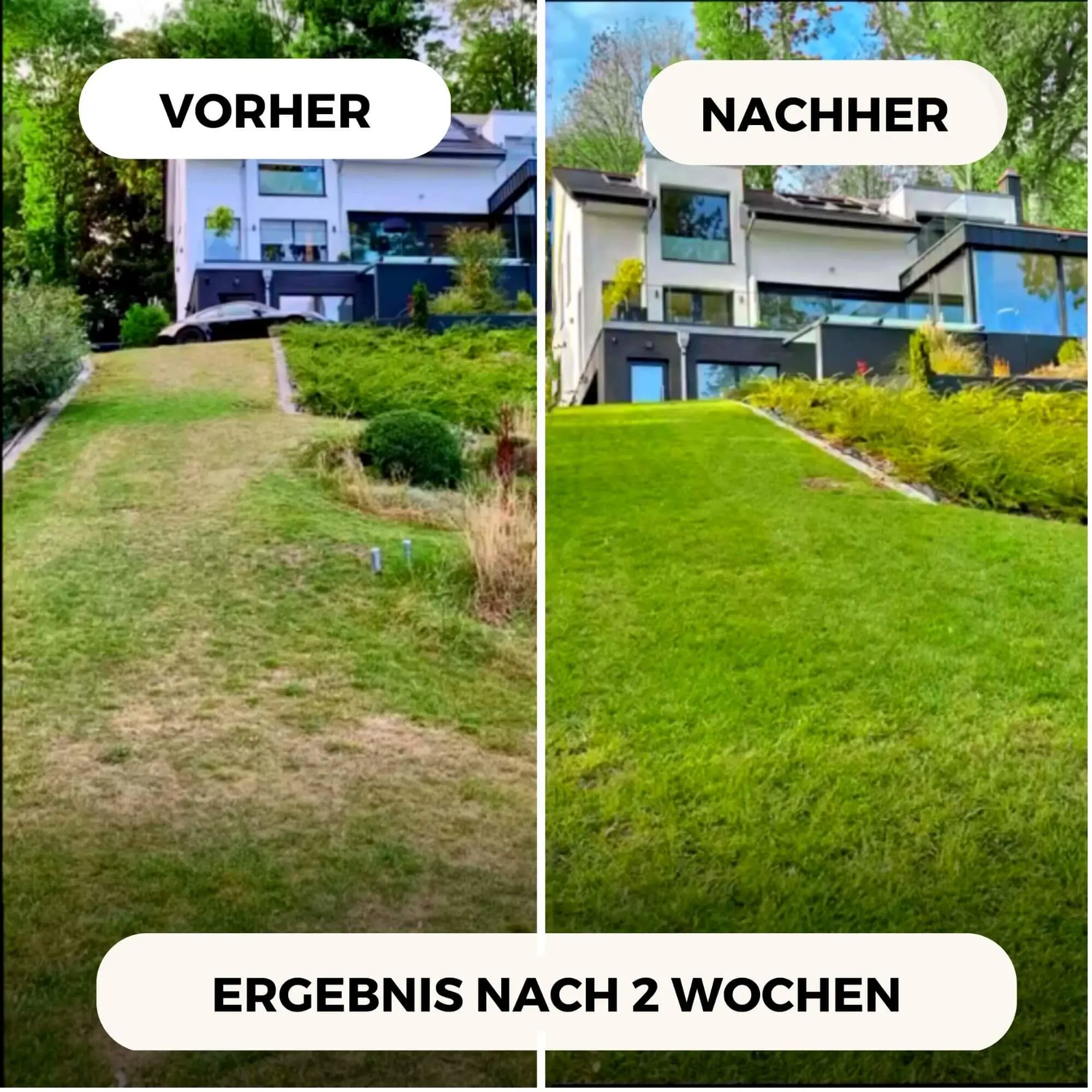 Rasendünger Sommer und Frühling - Image 6