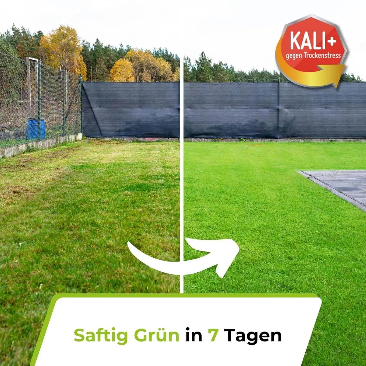 Rasendünger Sommer und Frühling - Image 9
