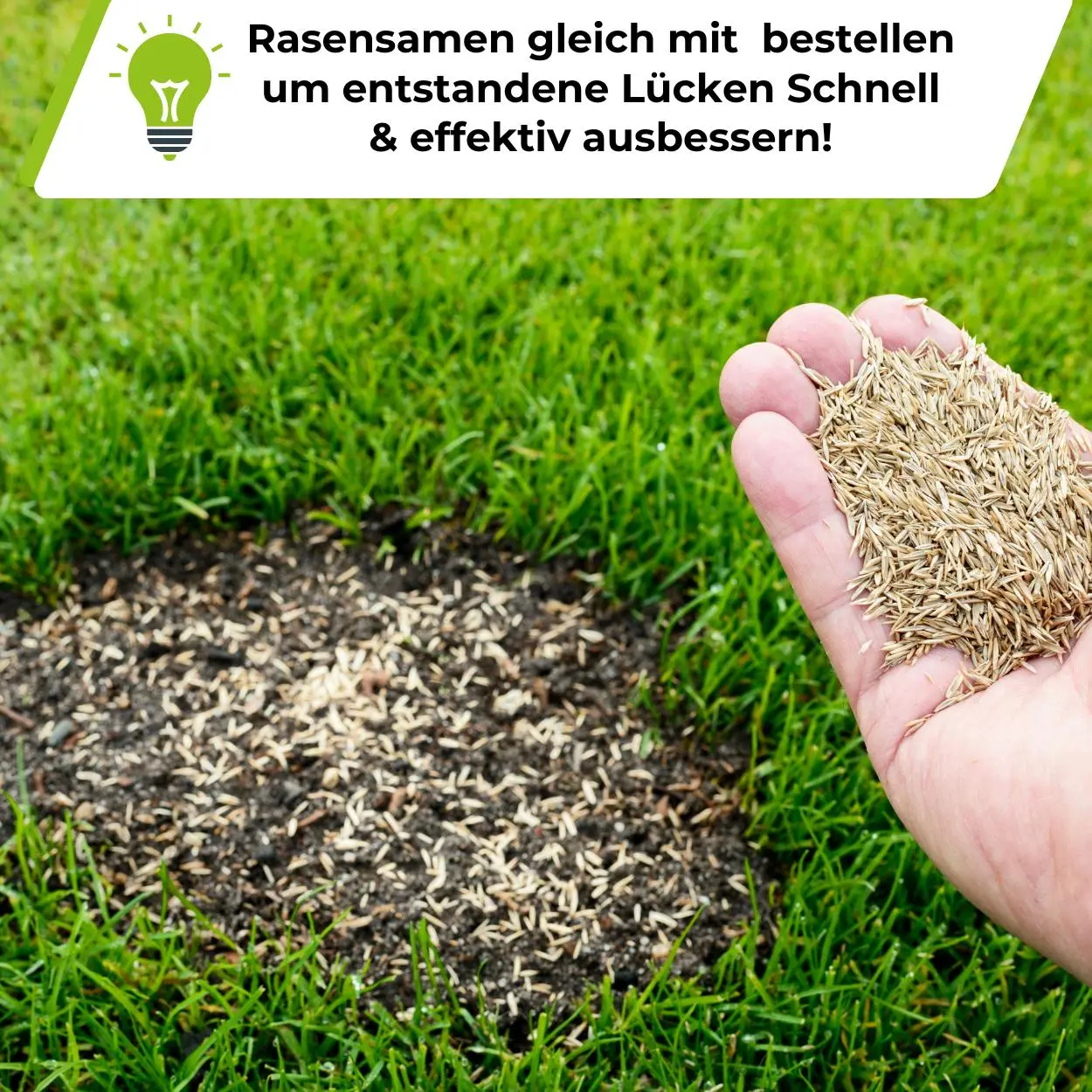 Premium - Rasendünger mit Unkrautvernichter 22-5-5 - Image 12