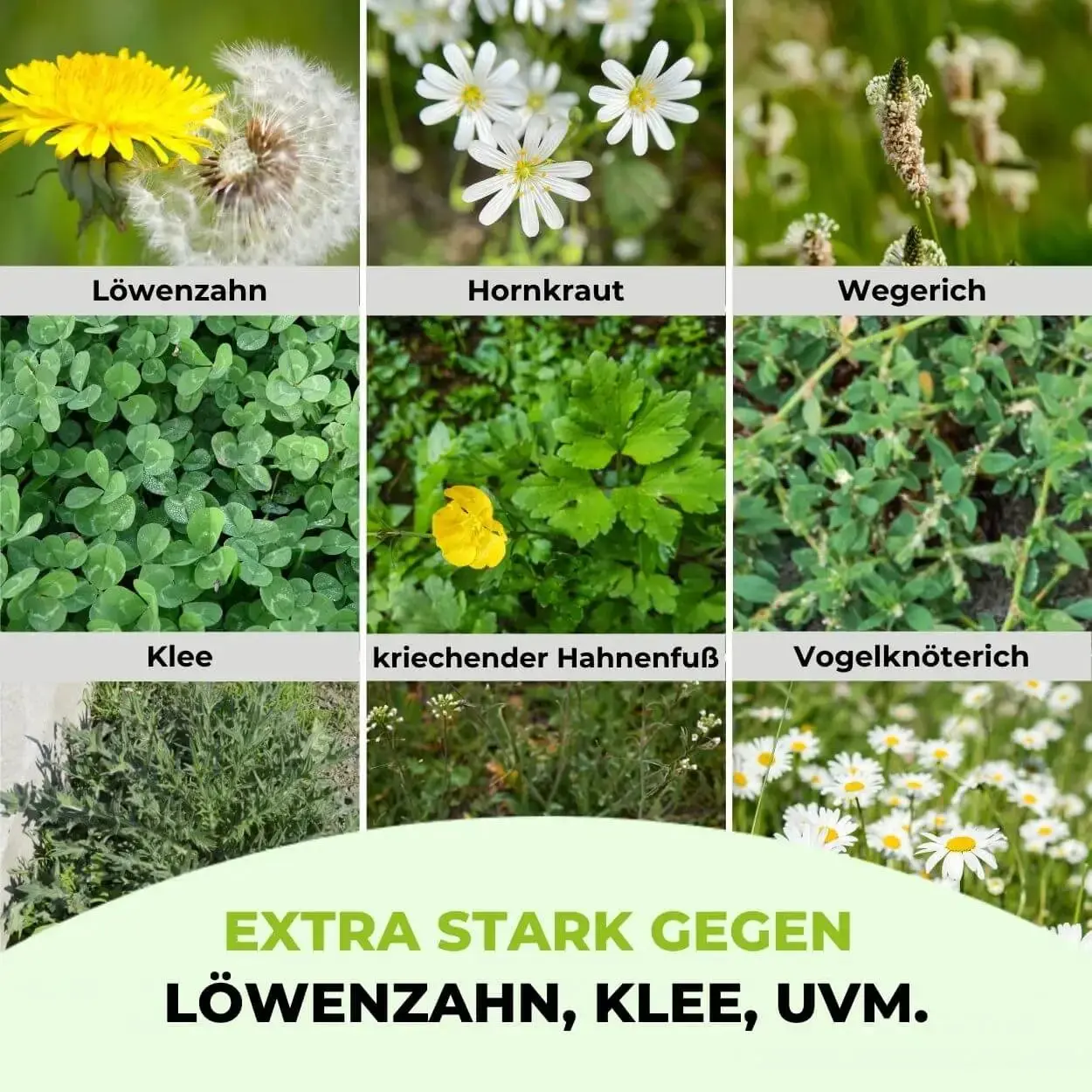 Premium - Rasendünger mit Unkrautvernichter 22-5-5 - Image 16