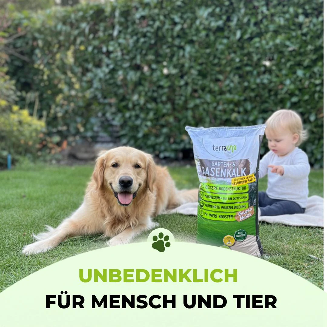 Rasenkalk - Angebot - Image 8