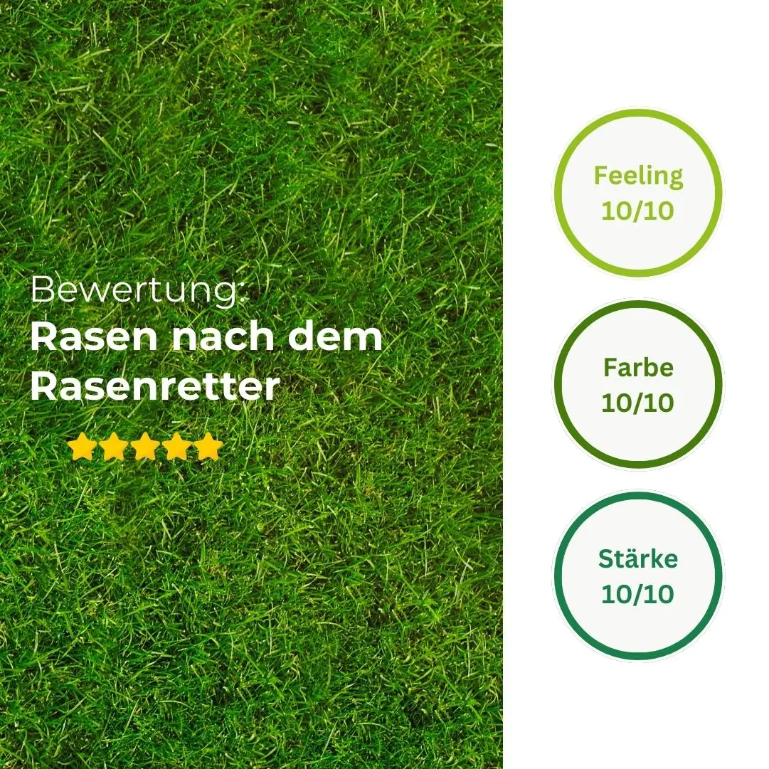 Rasenretter & Vertikutiermix - Image 14