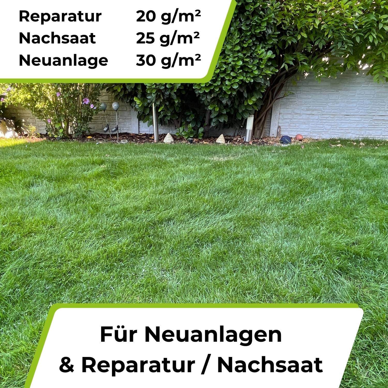 Rasensamen - Nachsaat, Reparatur und Neuanlage - Image 14