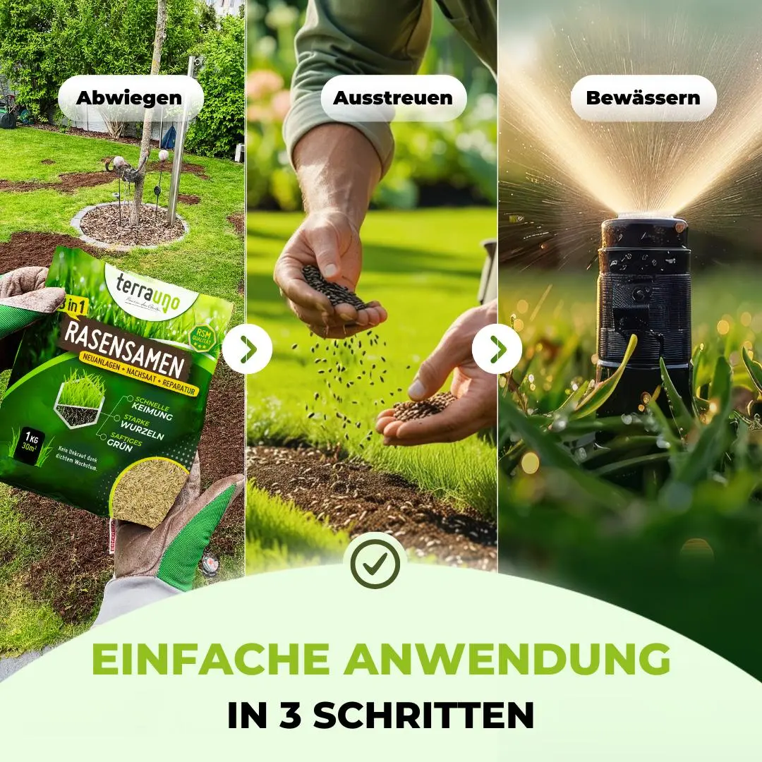 Rasensamen - Nachsaat, Reparatur und Neuanlage - Image 25