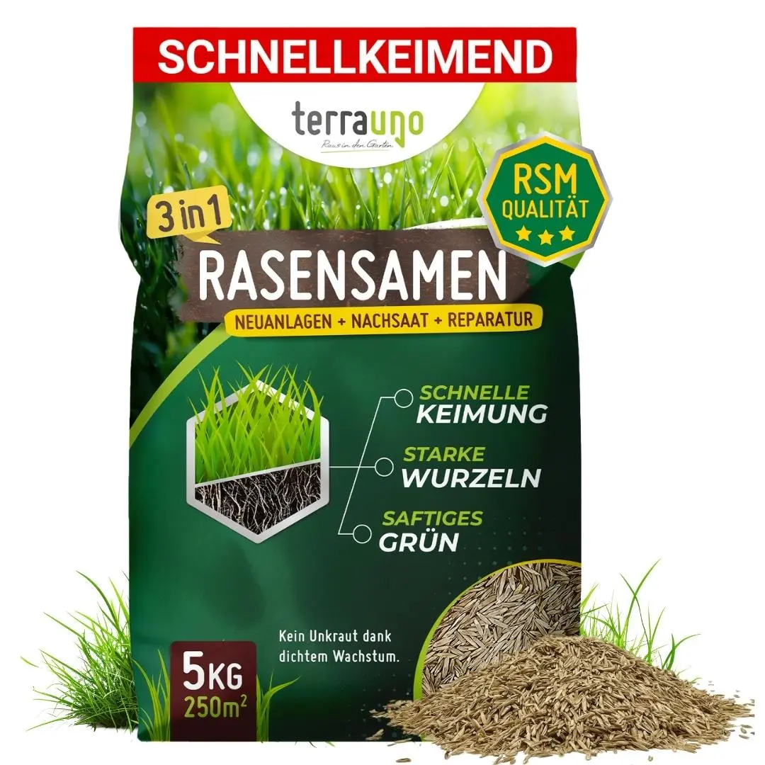 Rasensamen - Nachsaat, Reparatur und Neuanlage - Image 26