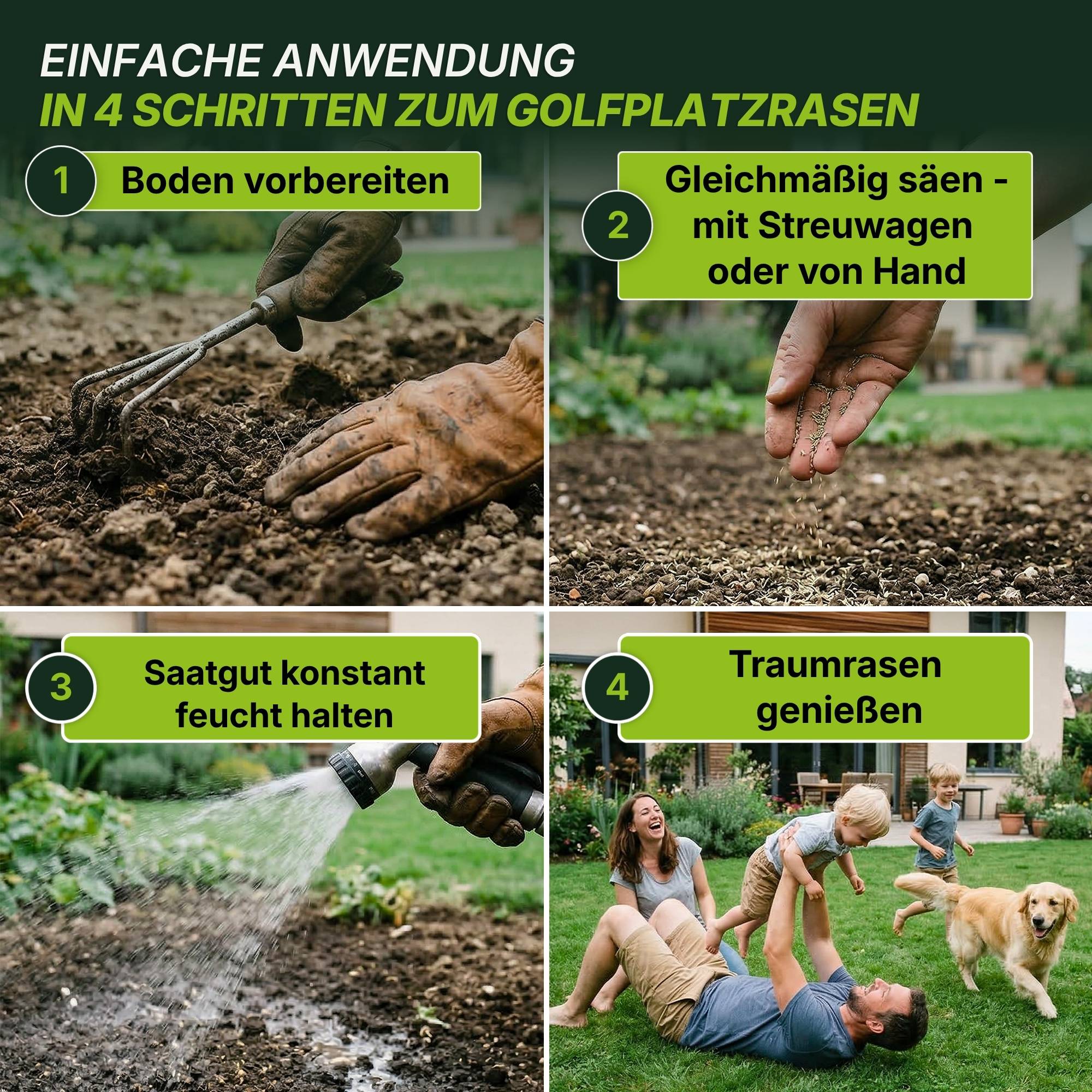 Rasensamen - Nachsaat, Reparatur und Neuanlage - Image 5