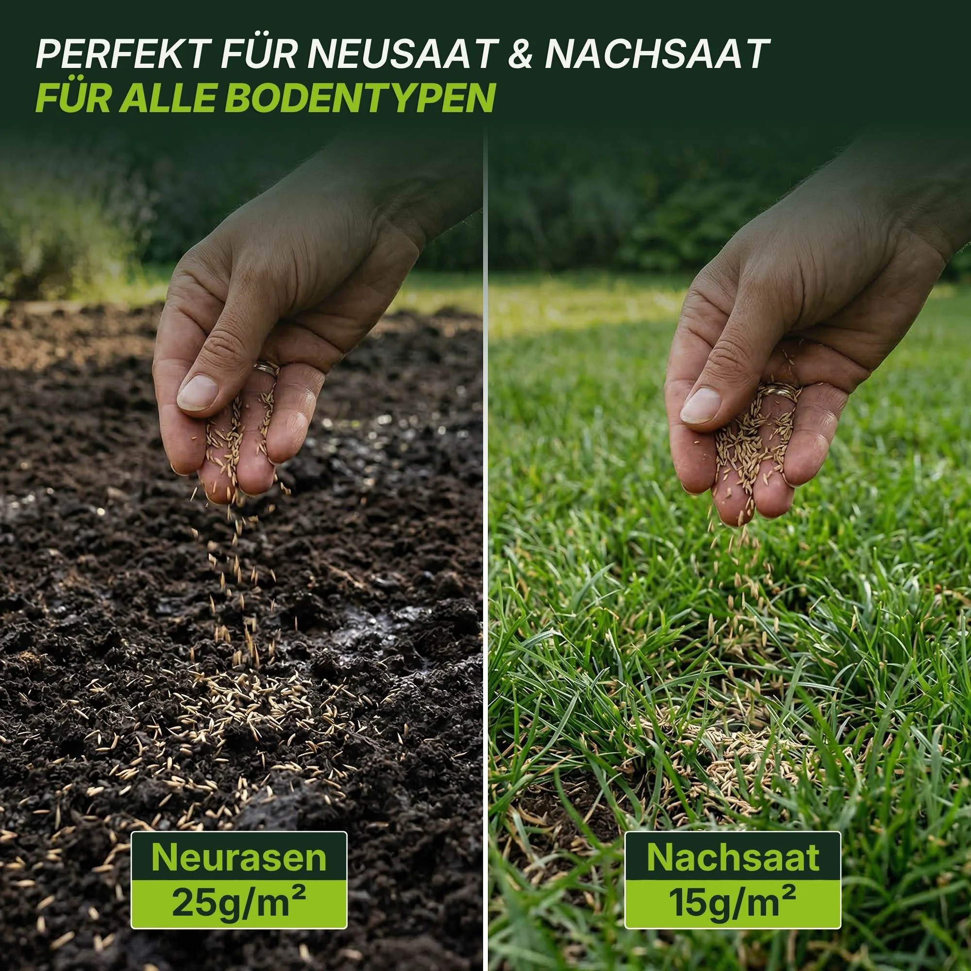 Rasensamen - Nachsaat, Reparatur und Neuanlage - Image 6